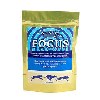 Sprinter Gold Focus