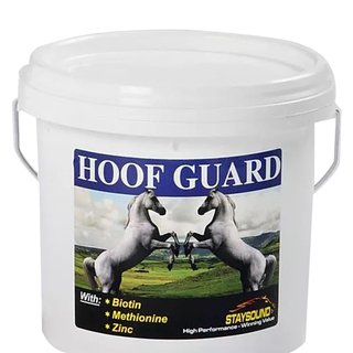 Staysound Hoof Guard