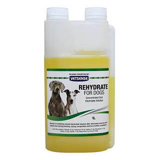 Vetsense- Labs Rehydrate Greyhound