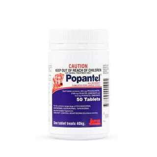 Popantel Allwormer Tablets for Dogs - 40kg/tab - 50 Tablets