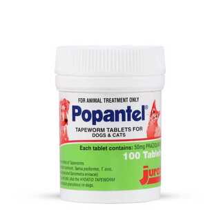 Popantel Tapeworm Tablets for Dogs and Cats - 100 tablets (Out of stock)