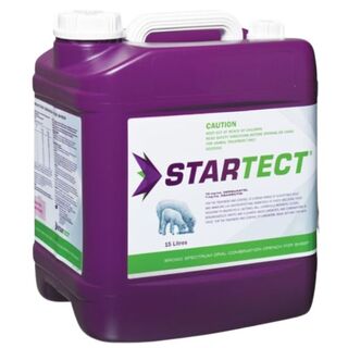 Startect Oral Drench For Sheep - 15ltrs