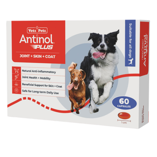 Antinol Plus for Dogs - Joint health capsules for dogs - 60 Capsules